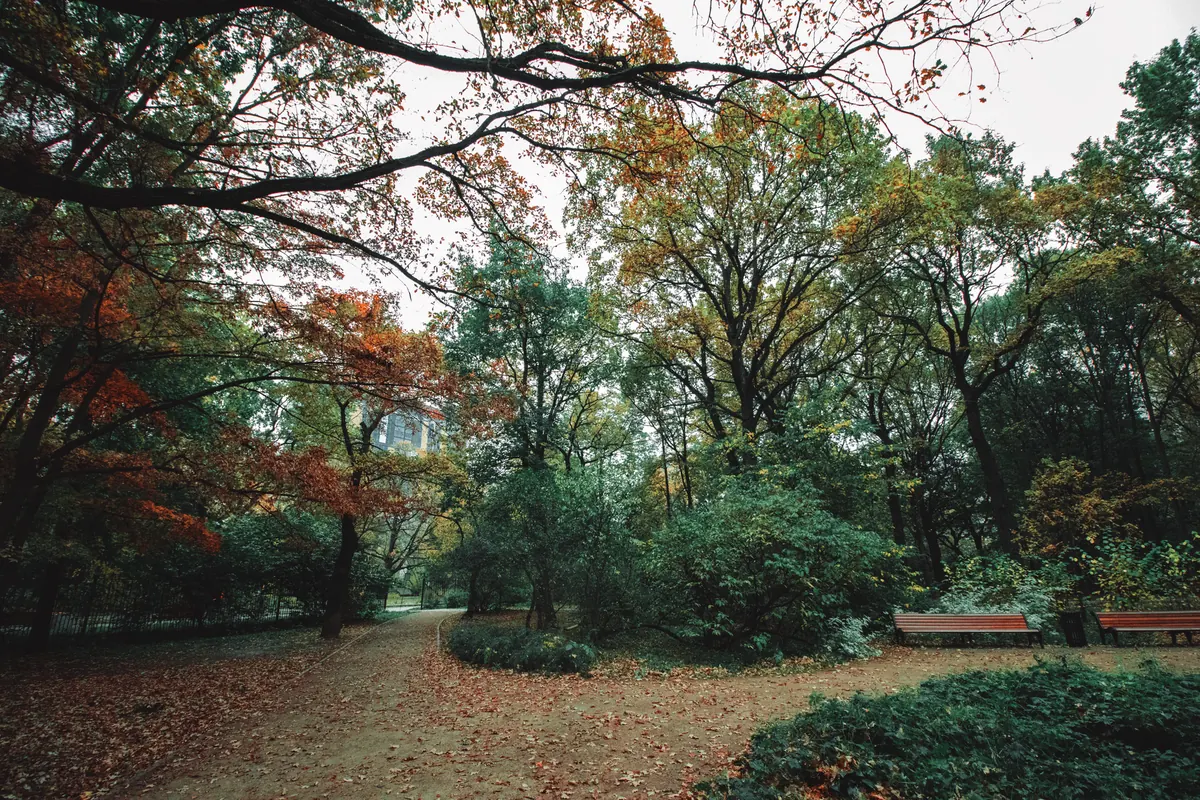 Autumn Garden Bench Care: How to Prepare Outdoor Seating for Winter