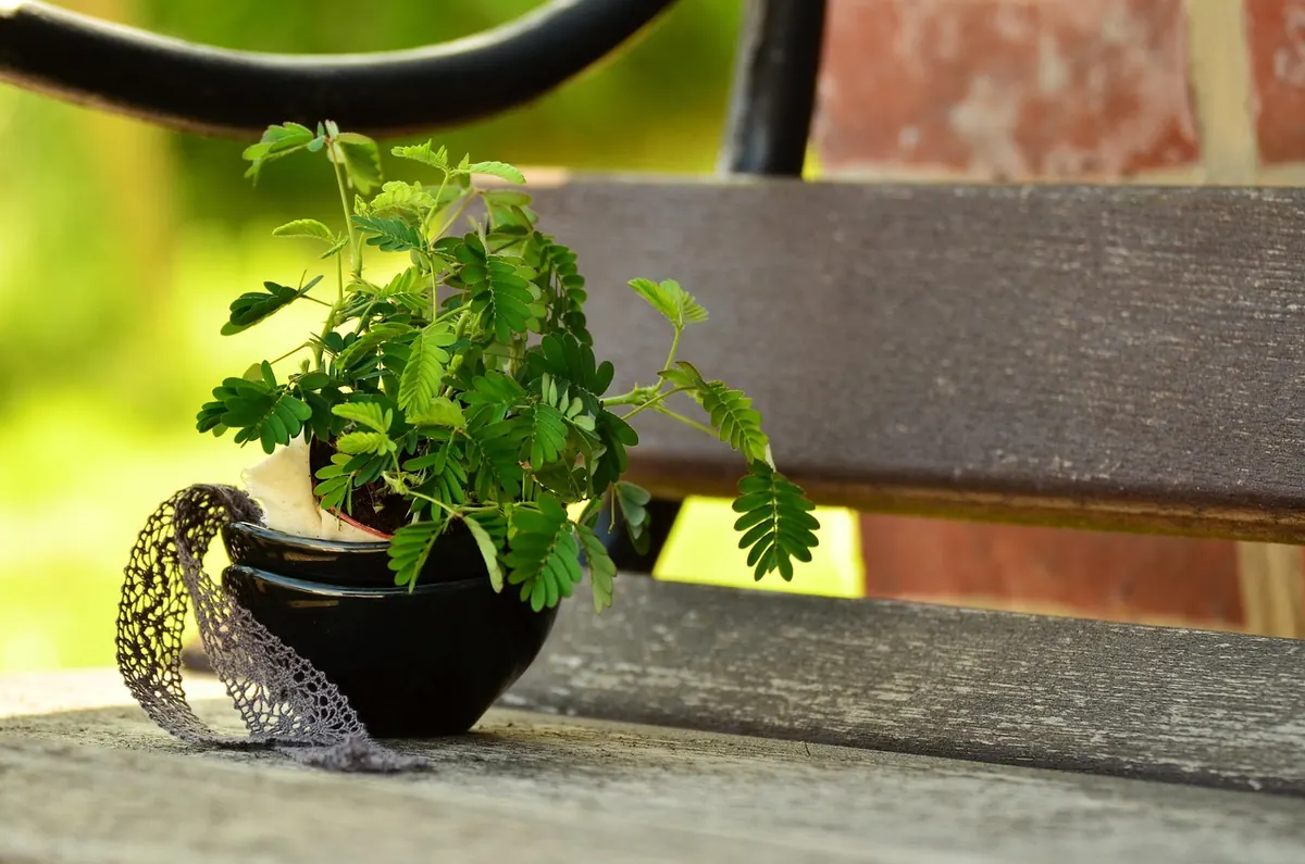 Common Mistakes to Avoid When Placing a Garden Bench in a Small Garden