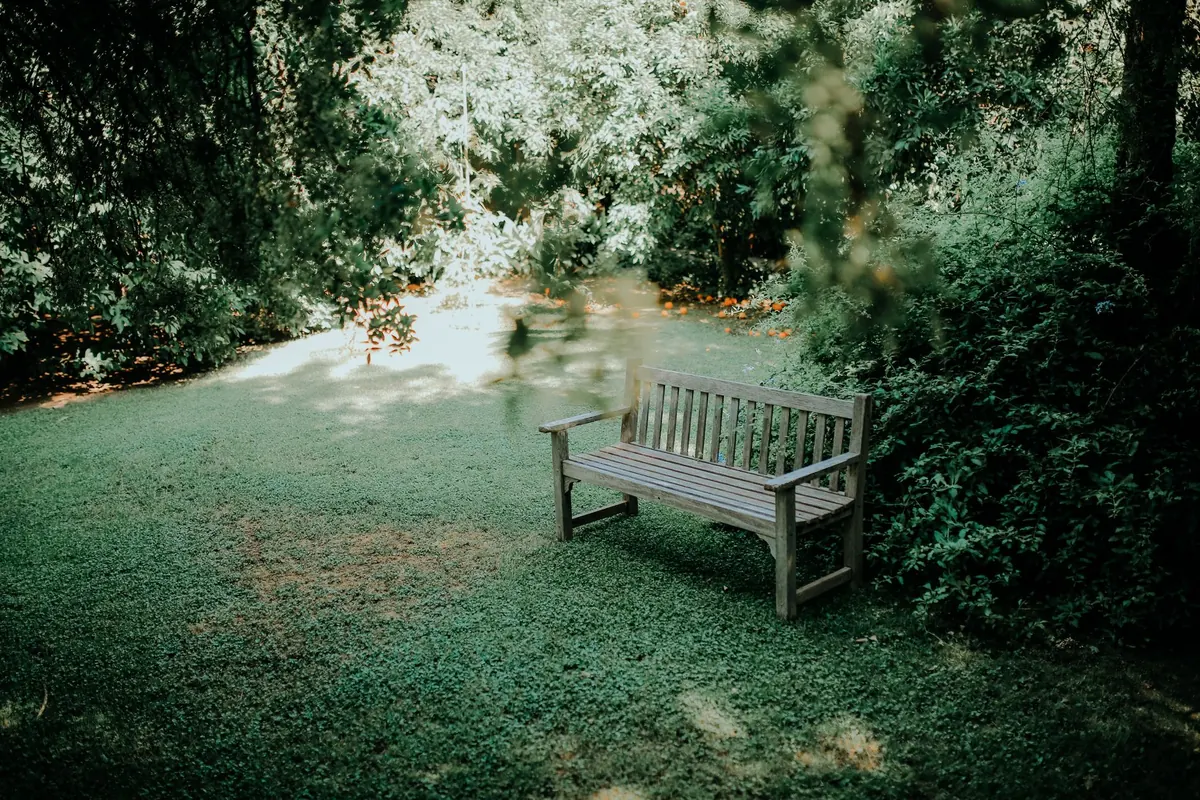 How to Choose the Best Spot for a Garden Bench: Sun, Shade, Shelter and View