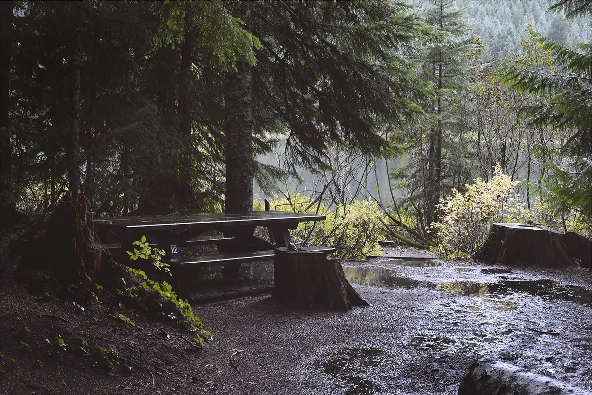 How to Protect a Wooden Garden Bench from British Rain and Damp